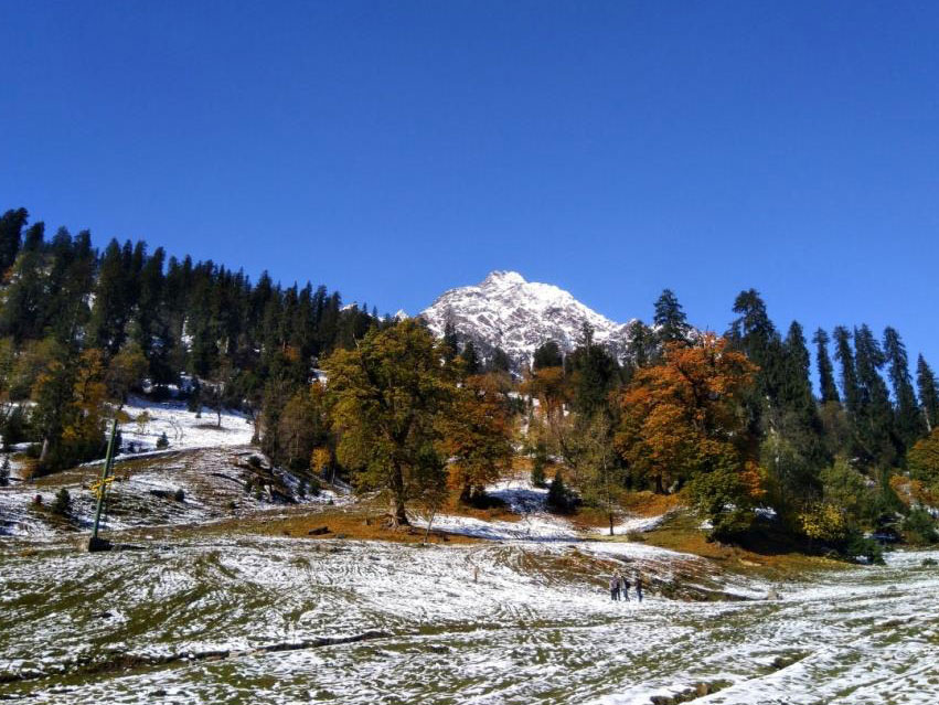 Snow-Leopard-Expedition-in-Spiti-Valley-4