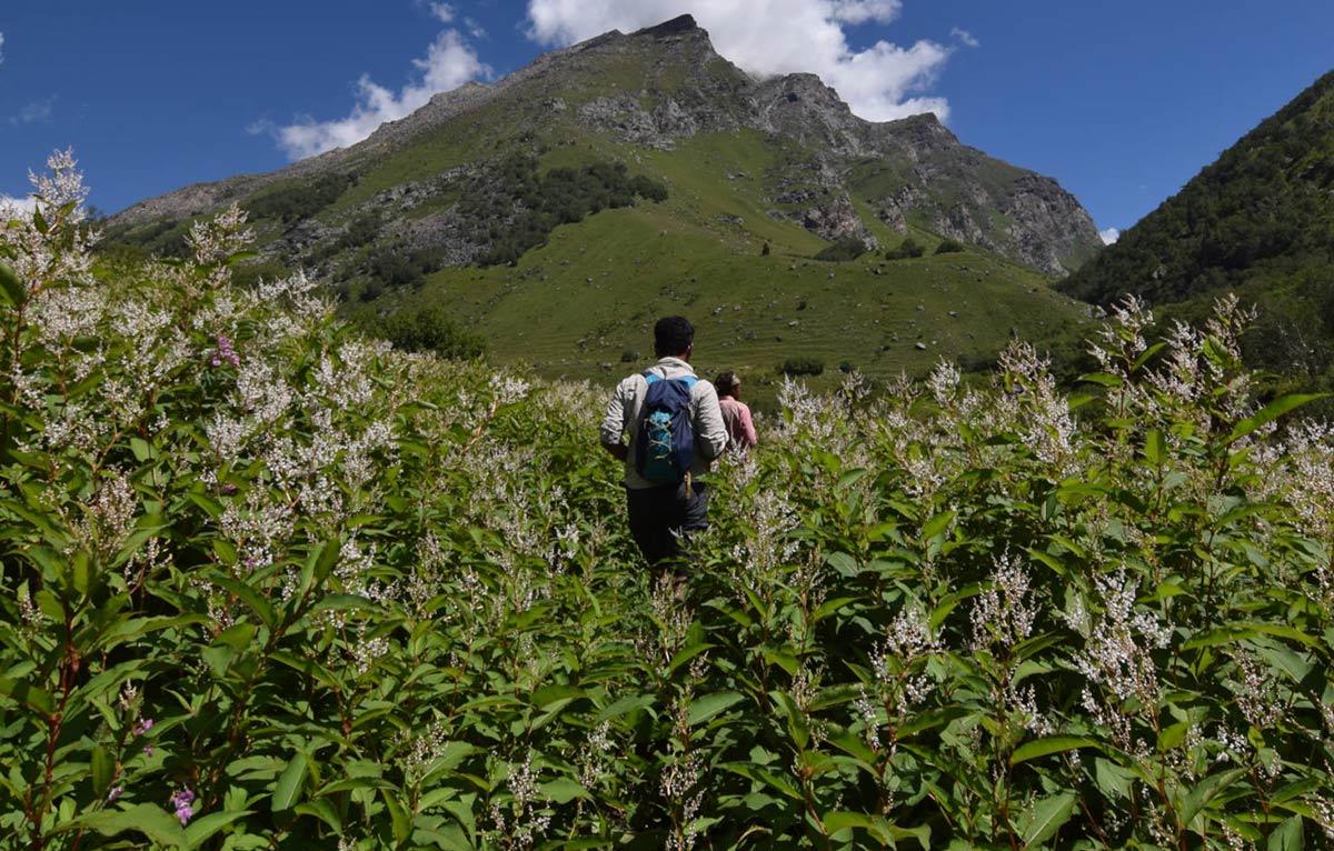 Saichu Valley (Saichu-Tuan)