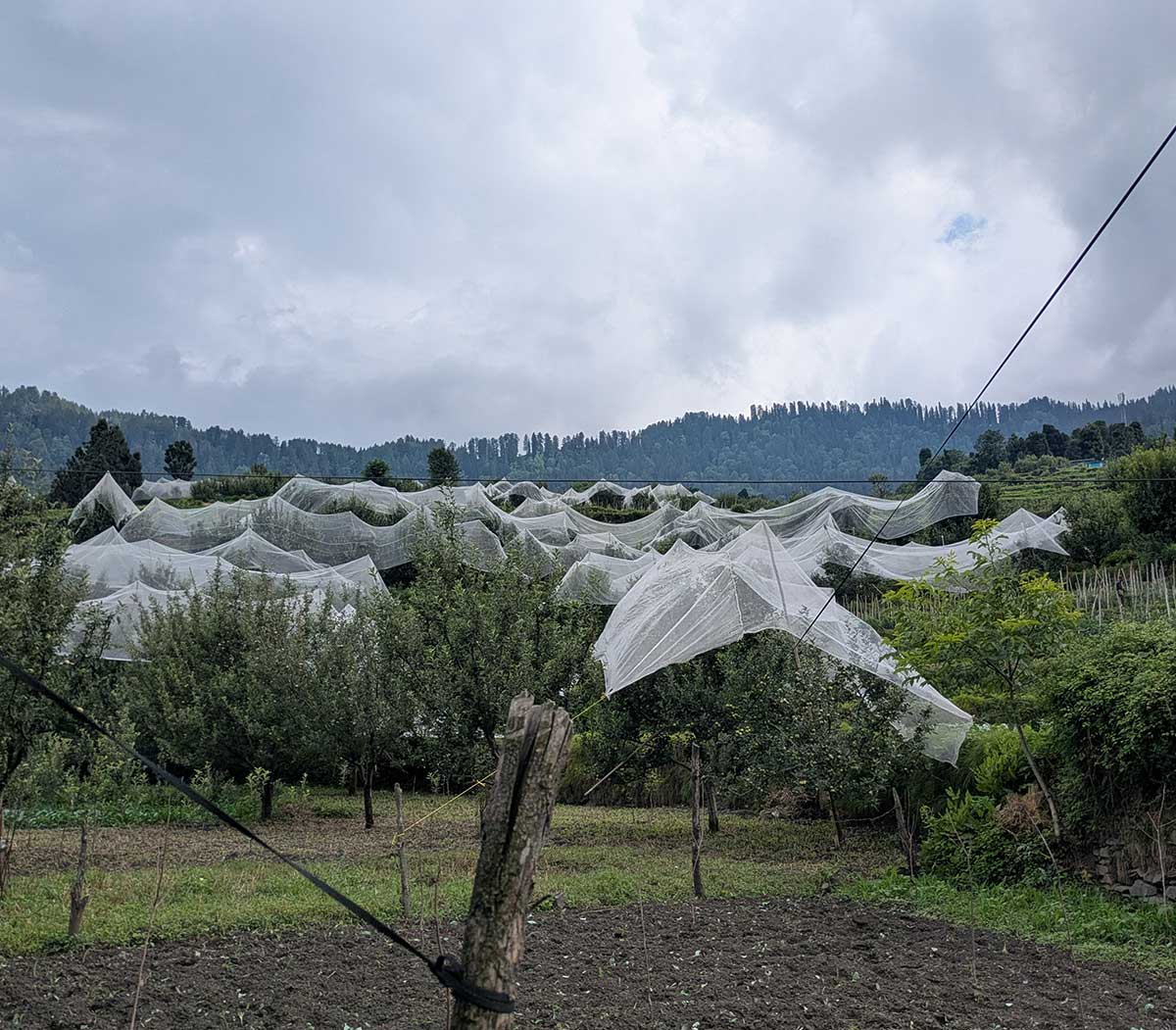 Karishana-Temple7-min