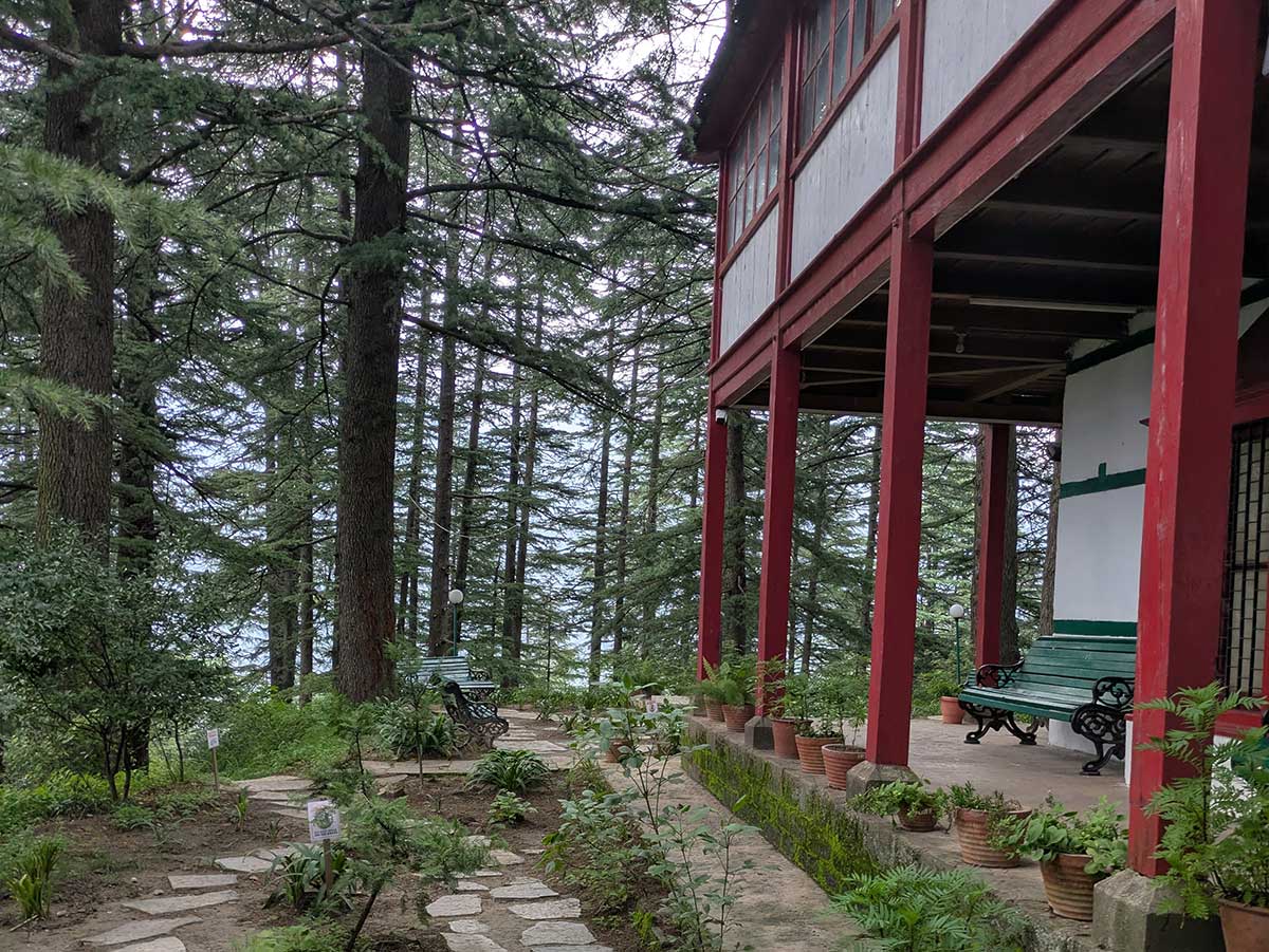 Roerich-Art-Gallery-Naggar5