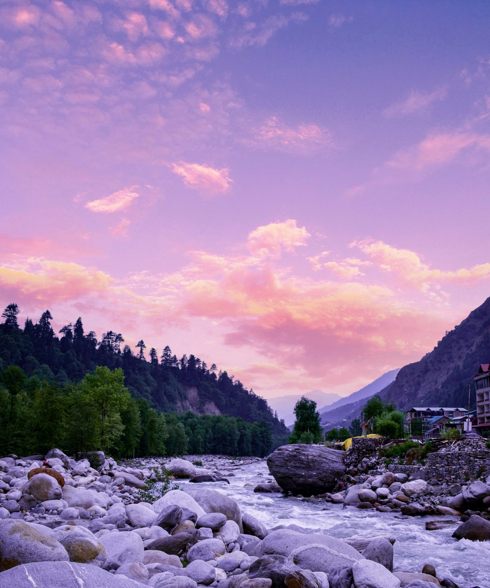 Beas River landscape with rocks and trees near Manali, Himachal Pradesh.